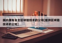 国内拥有自主区块链技术的公司[提供区块链技术的公司]